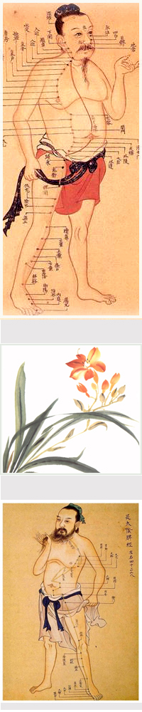 Chinese medicine in Kansas City